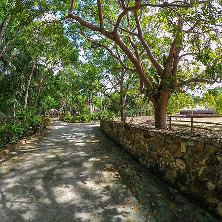 The Mayan Garden Orange Walk Town ภายนอก รูปภาพ