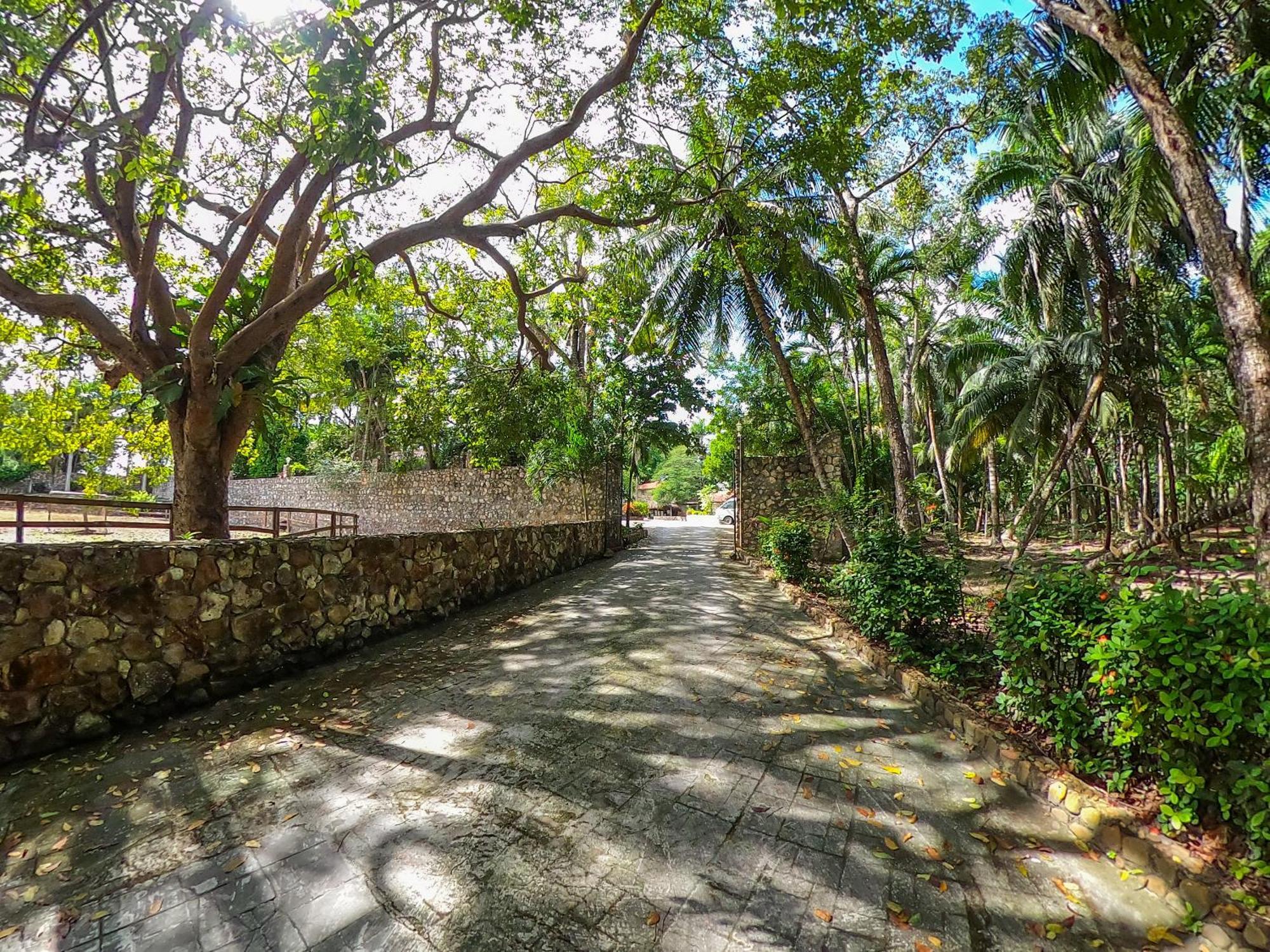 The Mayan Garden Orange Walk Town ภายนอก รูปภาพ