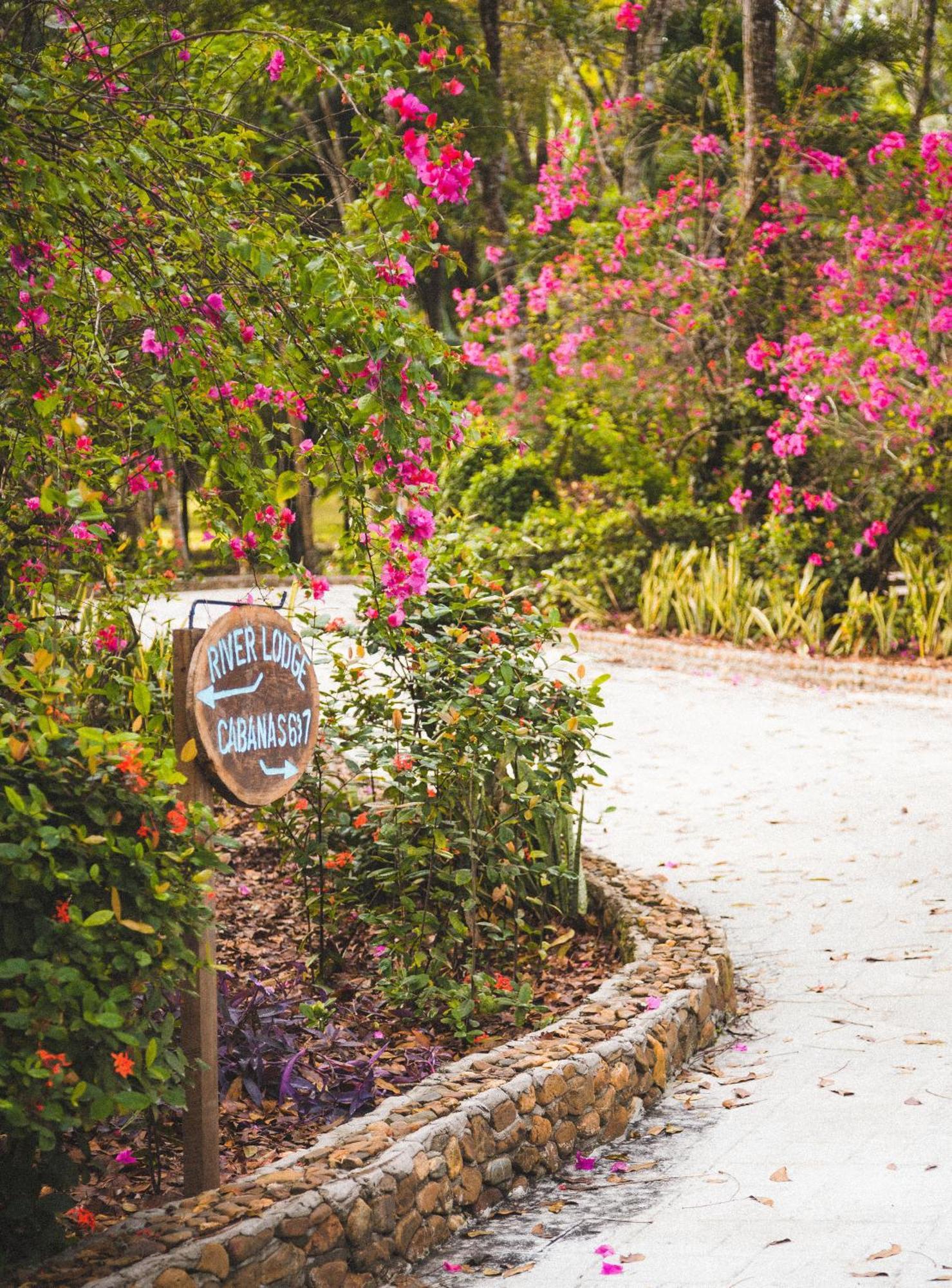 The Mayan Garden Orange Walk Town ภายนอก รูปภาพ